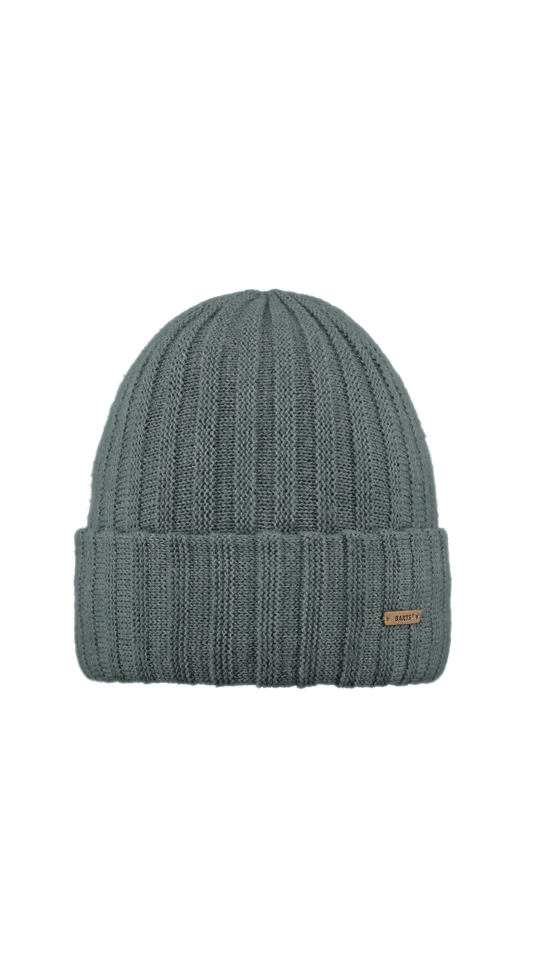 Barts Accessories Bayne Beanie in Dark Celadon